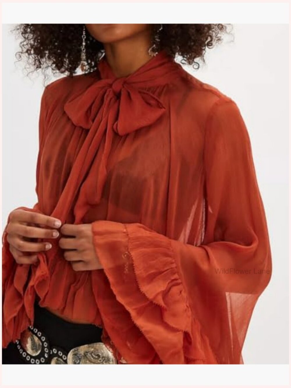 Long Bell Sleeve Flowy Top Sheer Mesh Blouse Cape Chiffon High Low Hem Ruffled - Picture 3 of 4